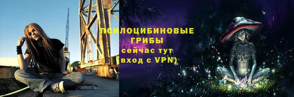 ALPHA PVP Карталы